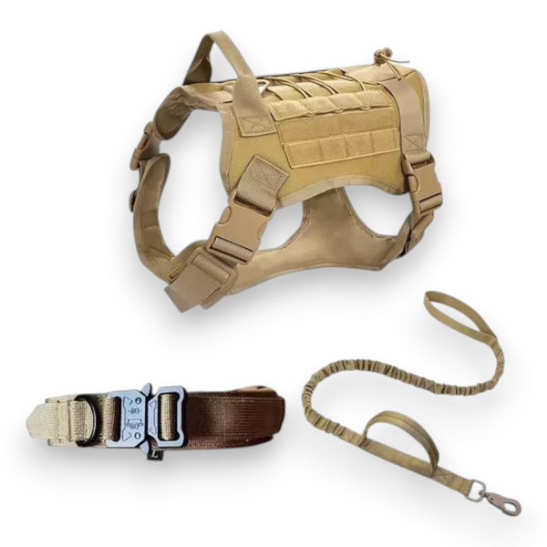 Conjunto de chalecos tácticos de caza para perros