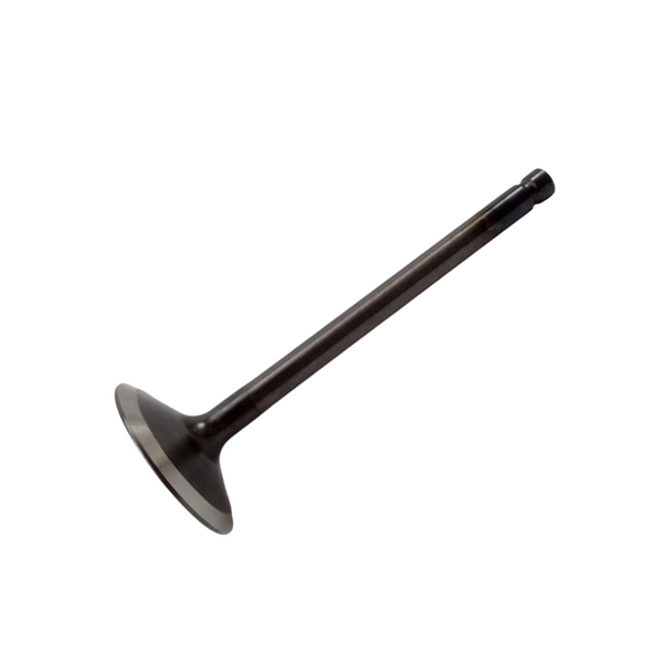 Pack 8 Válvula para motor Thermo King 11-5850