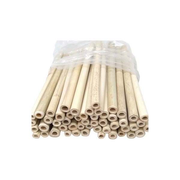 50 pzs Bambu tipo reutilizable Popote Natural Barra 20cm