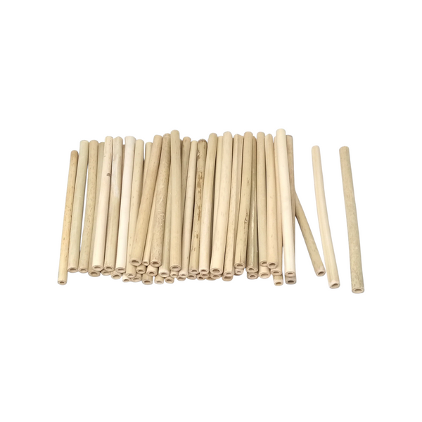 50 pzs Bambu tipo reutilizable Popote Natural Barra 20cm