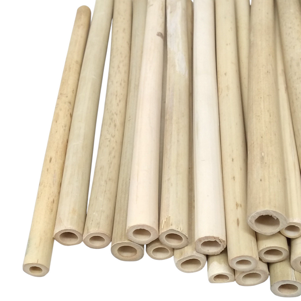50 pzs Bambu tipo reutilizable Popote Natural Barra 20cm