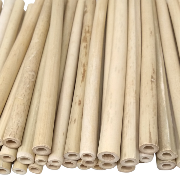 50 pzs Bambu tipo reutilizable Popote Natural Barra 20cm