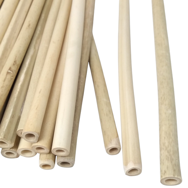 50 pzs Bambu tipo reutilizable Popote Natural Barra 20cm