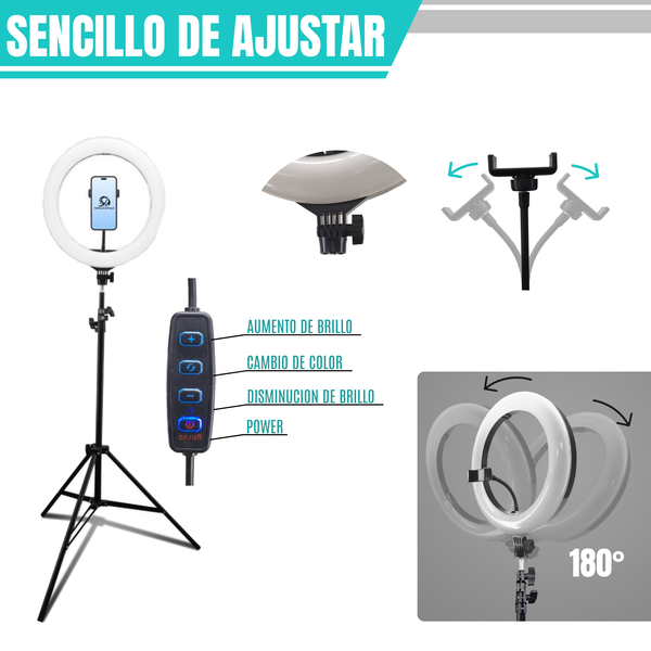 Aro de Luz led iluminacion FILL LIGHT 8 pulgadas