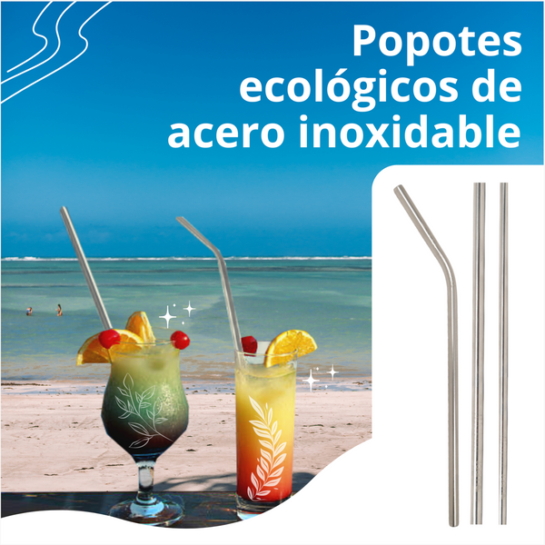 Set 3 Popotes + Cepillo + Funda Reutilizables Metalicos Ecologico