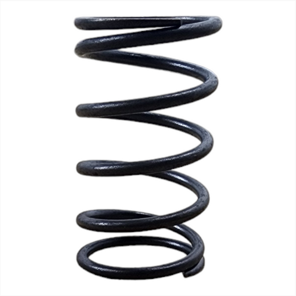 Muelle resorte de Válvula A906993090 para Mercedes-Benz 10pz