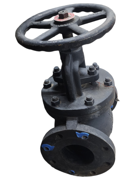 Valvula Globo 4 Bridada 125  WALWORTH Usado