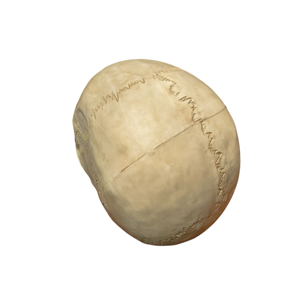 Calavera gigante luz led decoracion halloween