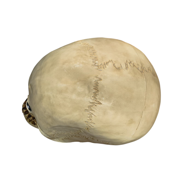 Calavera gigante luz led decoracion halloween