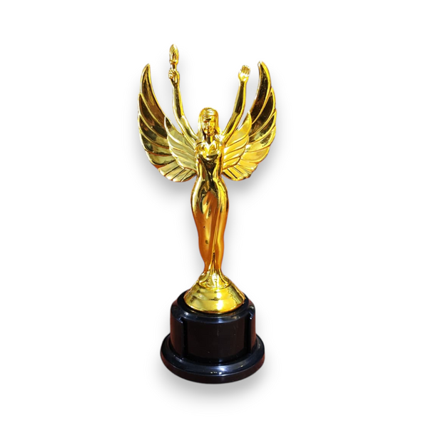 Pack 25 Trofeo premio estatuilla escolar dorada