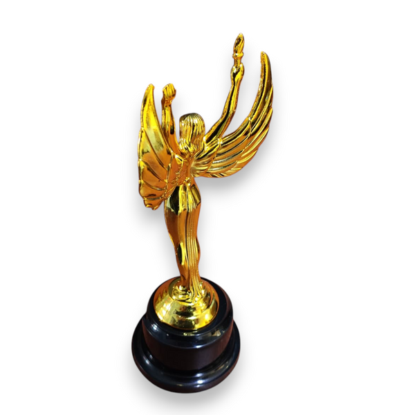 Pack 25 Trofeo premio estatuilla escolar dorada