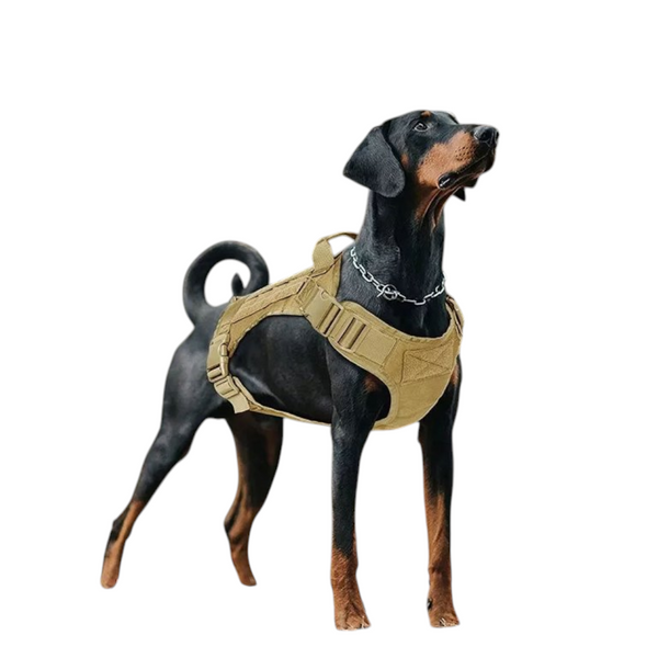 Conjunto de chalecos tácticos de caza para perros