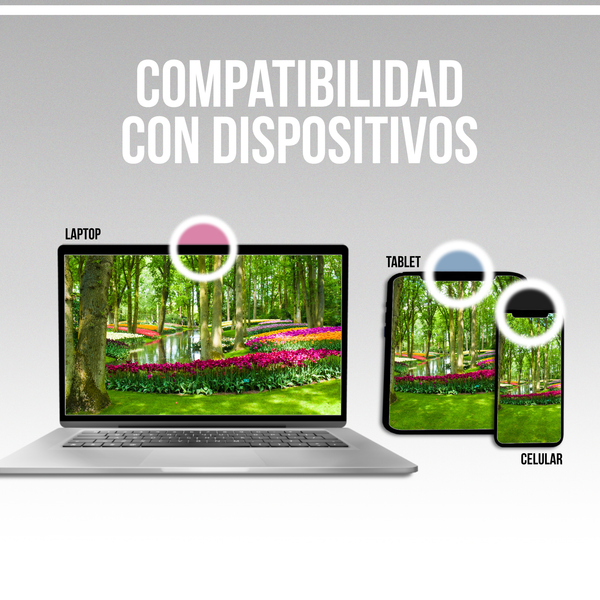 Aro de Luz Recargable para Celular selfie 4 pzs color a elegir