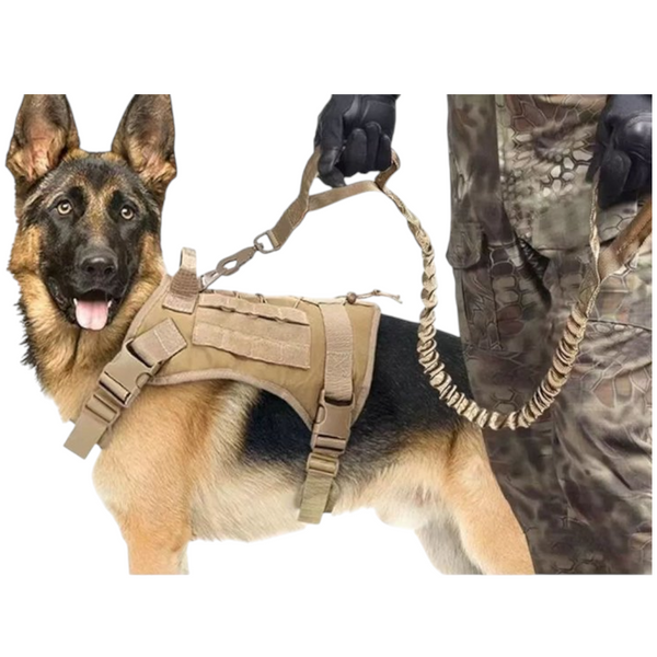 Conjunto de chalecos tácticos de caza para perros