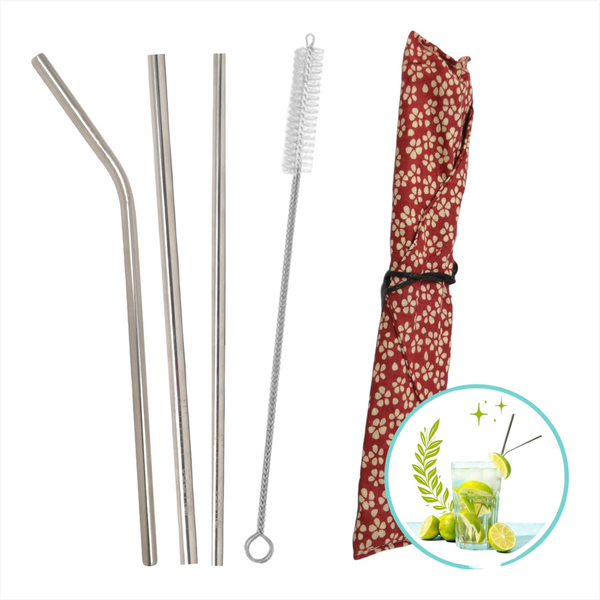 Set 3 Popotes + Cepillo + Funda Reutilizables Metalicos Ecologico