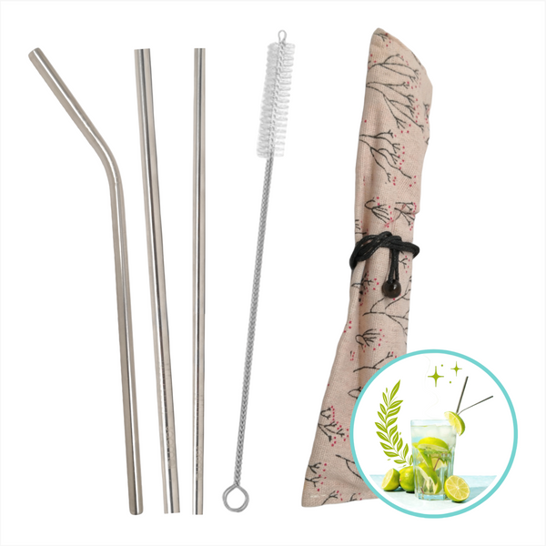 Set 3 Popotes + Cepillo + Funda Reutilizables Metalicos Ecologico