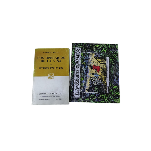 Lote libro a alegir 3