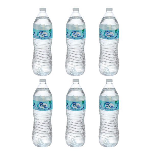 6 Botellas de agua purificada 1 litro