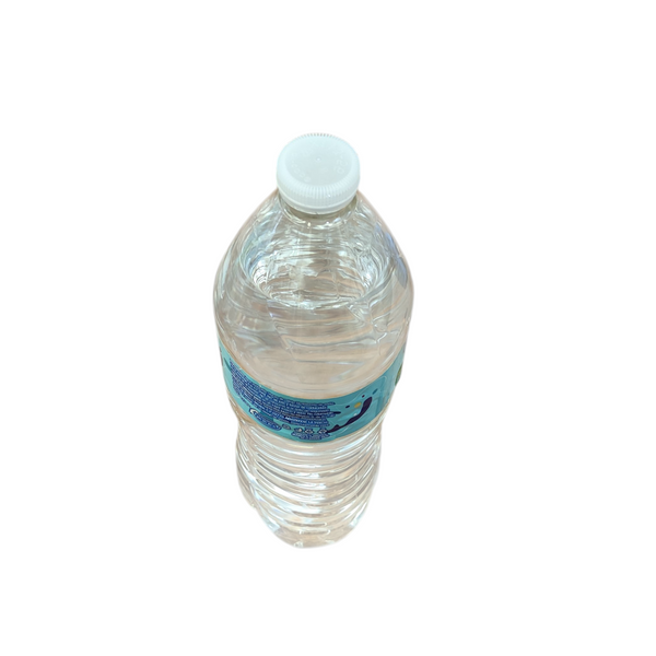 6 Botellas de agua purificada 1 litro