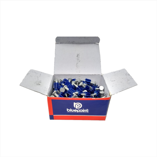 Taquete Anclaje 1” bluepoint 100 pza pd25f10 121109