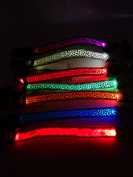Collar Para Mascotas Con Luz Led Perro Y Gato