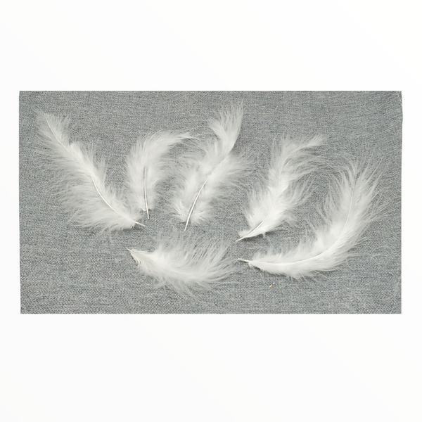 Bolsa De Plumas Palo Real Ave Blanca Calidad 10 Gramos