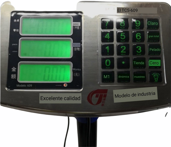 Bascula digital 60Kg uso rudo con batería portátil