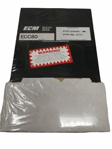 Computadora Auto Ecm Ecc484 Remanufacturado 5227888