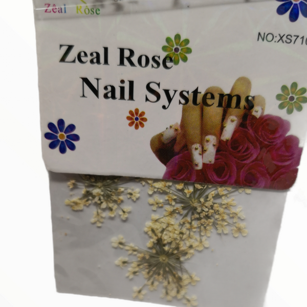 Flores secas decorativas para uñas manualidades 12 pack
