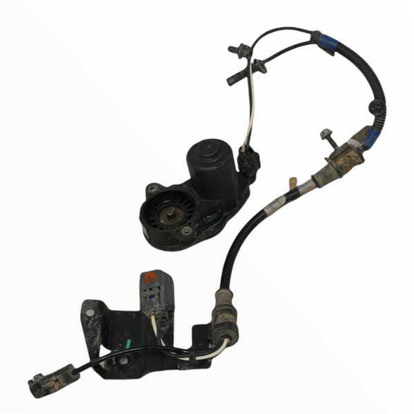 Pinza Trasera con Arnés Eléctrico Ford Usado 2B712 N10DE