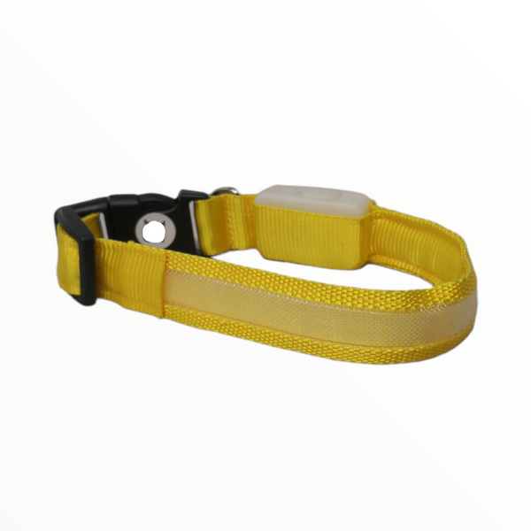 Collar Para Mascotas Con Luz Led Perro Y Gato