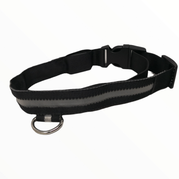 Collar Para Mascotas Con Luz Led Perro Y Gato