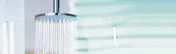 Regadera ducha fija a techo Hansgrohe Raindance Air 240 24cms