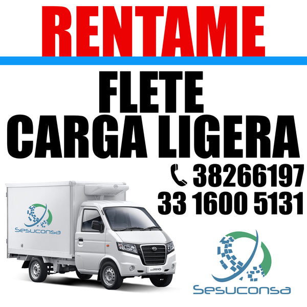 Flete Local - Camioneta 1 Ton - Peugeot Partner
