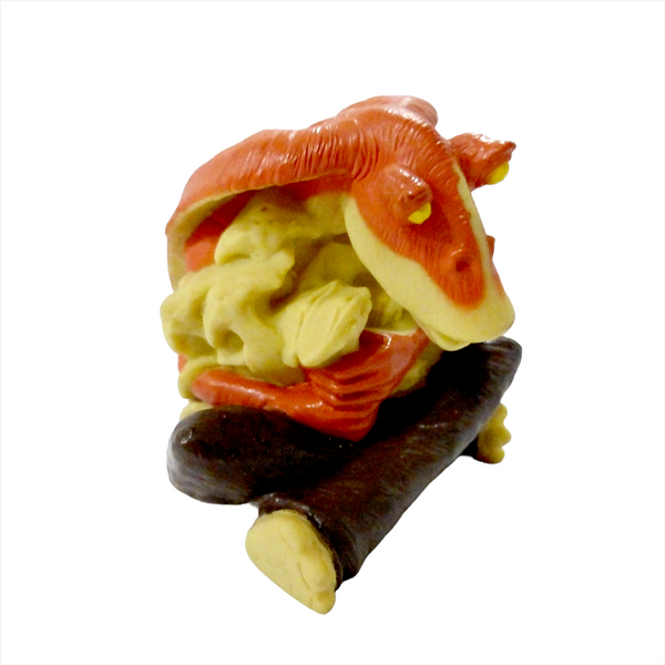 Muñecos Coleccionables Star Wars: Episodio 1