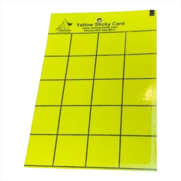 Trampa atrapa moscas pegajosas 10x15cms doble vista 24 pack