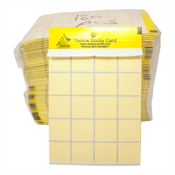 Trampa atrapa moscas pegajosas 10x15cms doble vista 24 pack