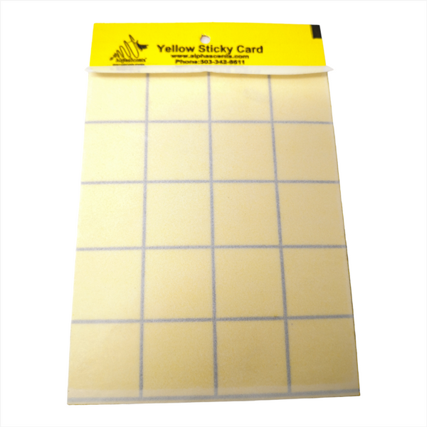 Trampa atrapa moscas pegajosas 10x15cms doble vista 24 pack