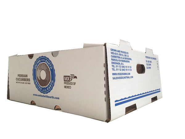 10 cajas carton pepino 40x33x15 cms nuevas